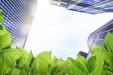 Image of Modern buildings on sunny day, view through green leaves. Low angle