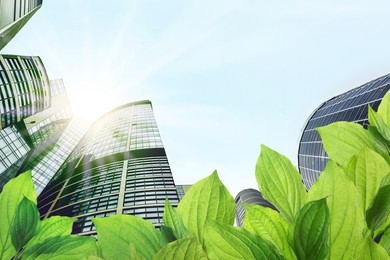 Image of Modern buildings on sunny day, view through green leaves. Low angle