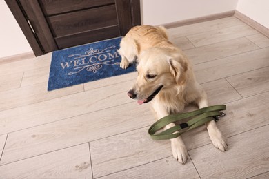 Photo of Walking with dog. Cute Golden Retriever with leash near door indoors