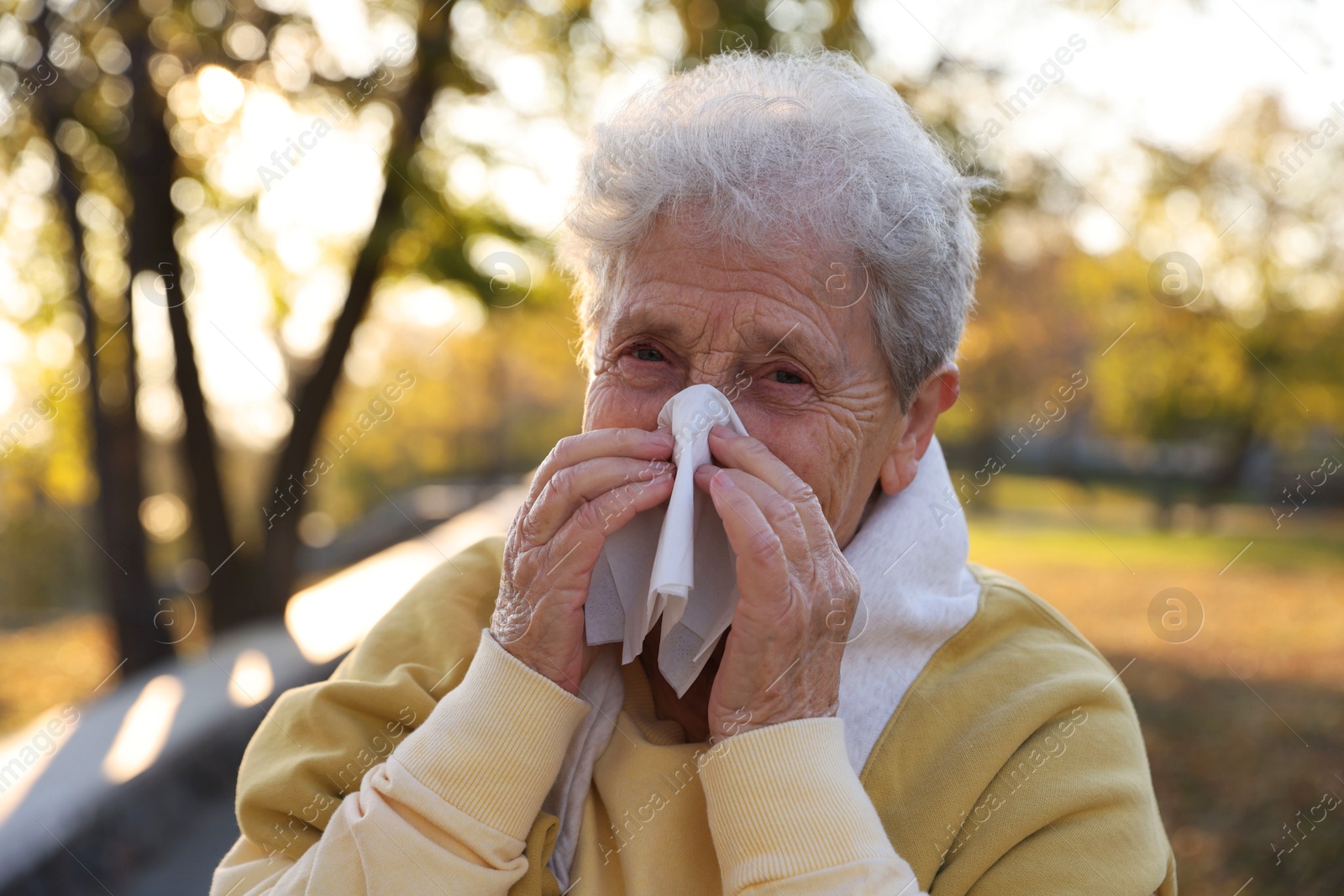 Photo of Senior woman with tissue blowing runny nose in park