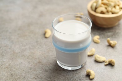 Fresh cashew milk in glass and nuts on grey textured table, closeup. Space for text