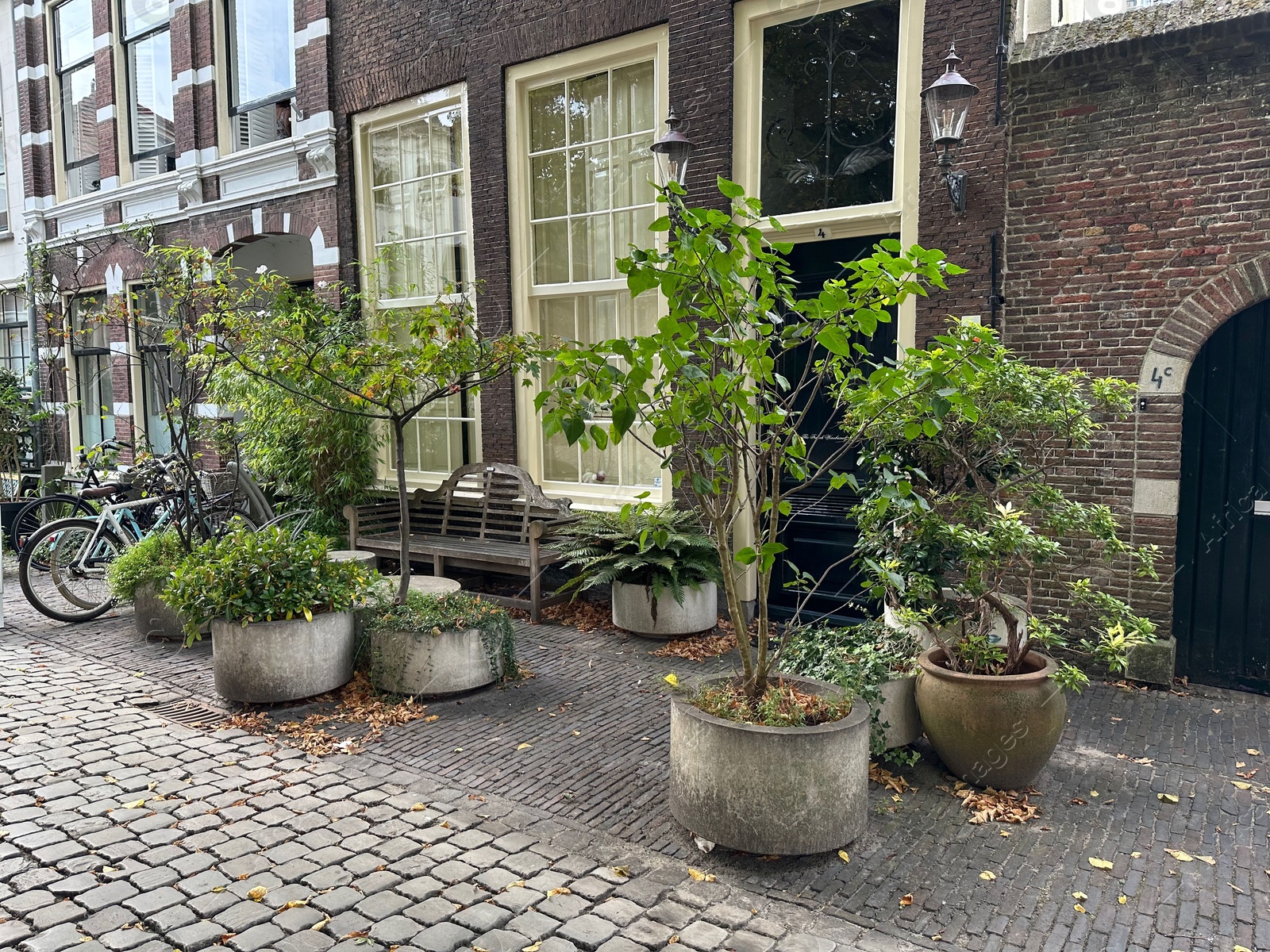 Photo of Different decorative trees in concrete pots near building