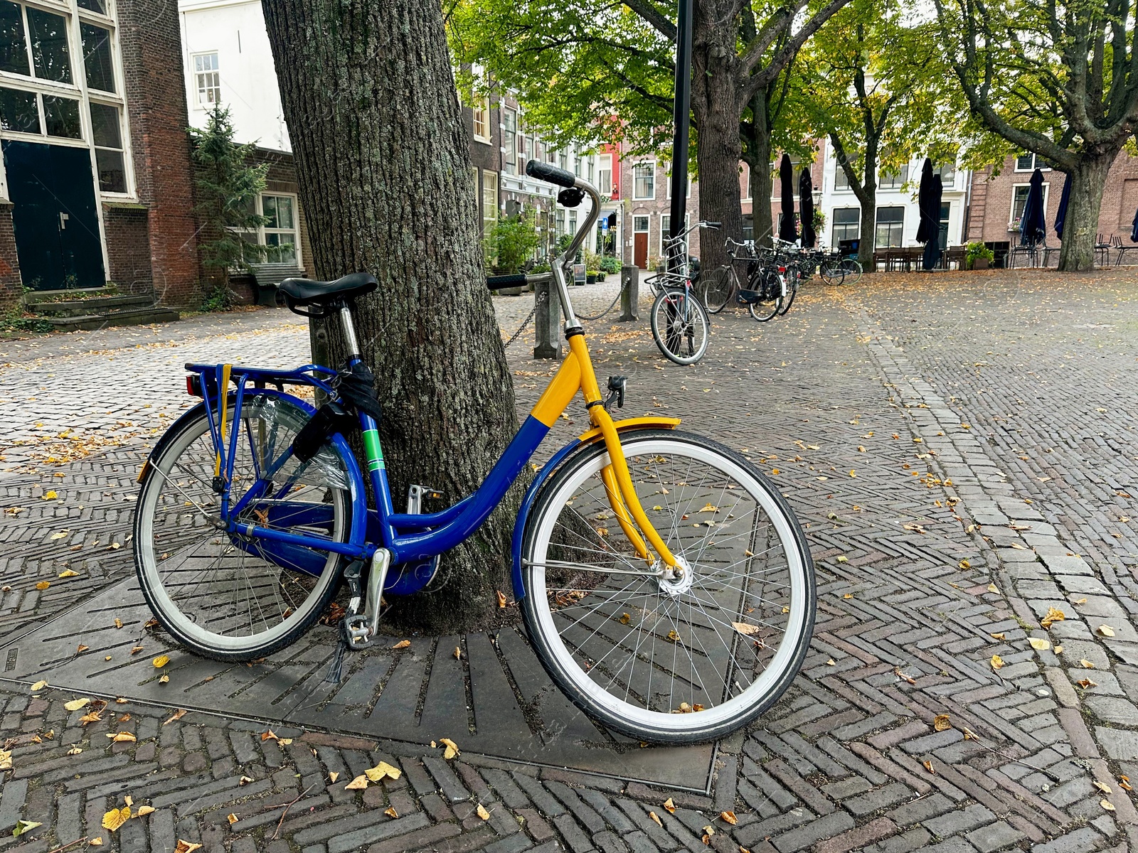 Photo of Modern bicycles parked near trees on city street