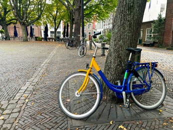 Photo of Modern bicycles parked near trees on city street