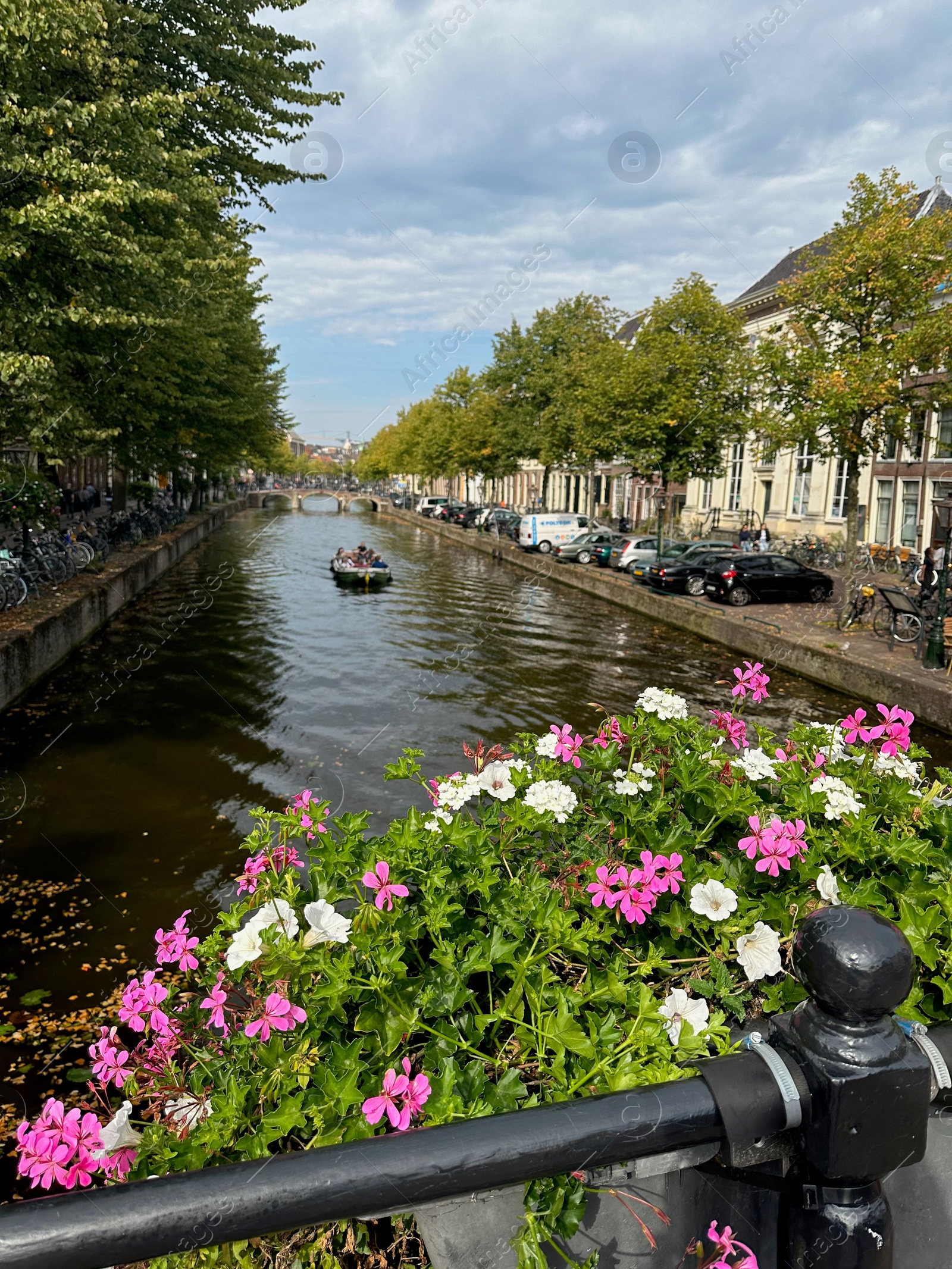 Photo of Beautiful view of water canal and colorful flowers in city