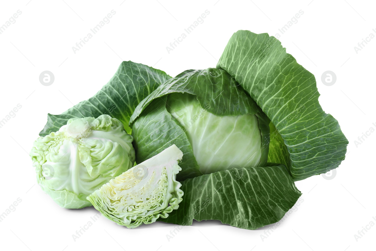 Photo of Whole and cut cabbages isolated on white