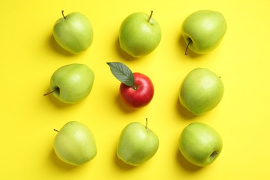 Flat lay composition with red apple surrounded by green ones on yellow background