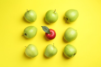 Photo of Flat lay composition with red apple surrounded by green ones on yellow background