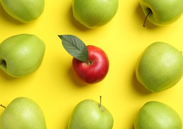 Photo of Flat lay composition with red apple surrounded by green ones on yellow background