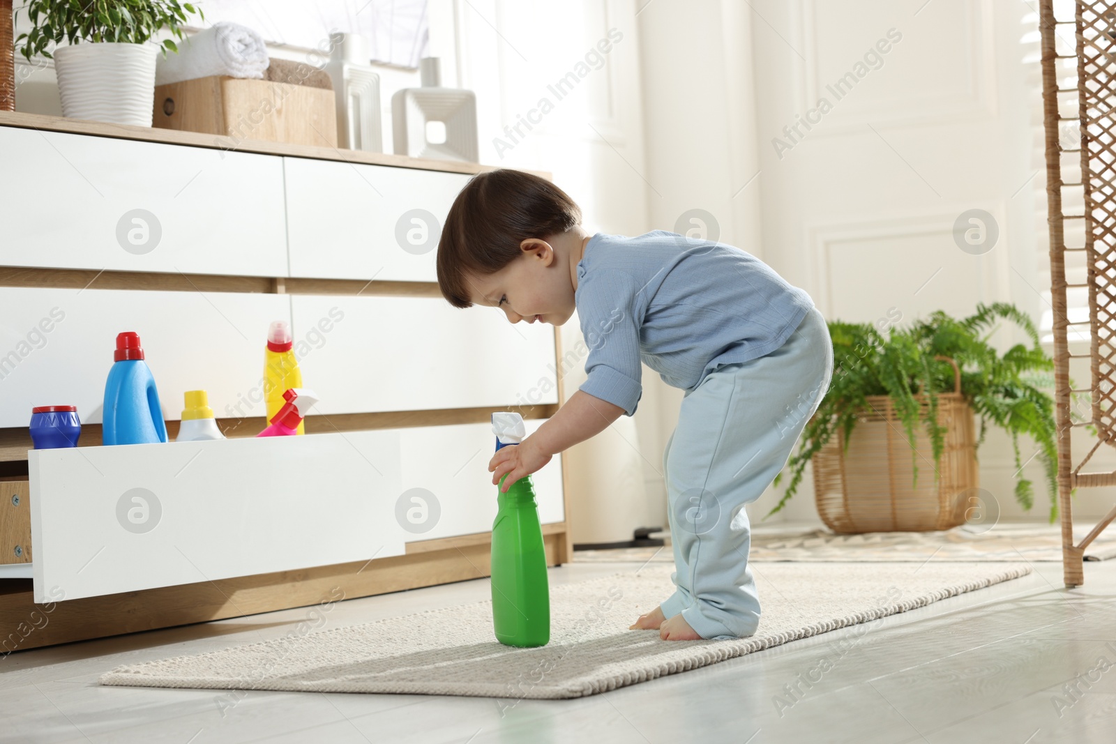 Photo of Little boy playing with bottle of detergent near cabinet at home. Child in danger