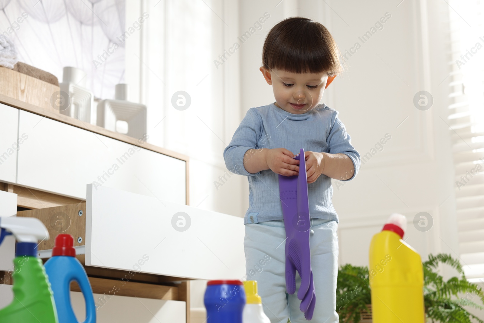 Photo of Little boy playing with glove among bottles of detergents near cabinet at home. Child in danger