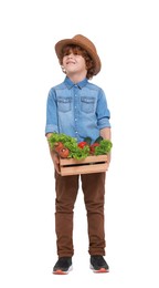 Photo of Little boy with vegetables pretending to be farmer on white background. Dreaming about future profession