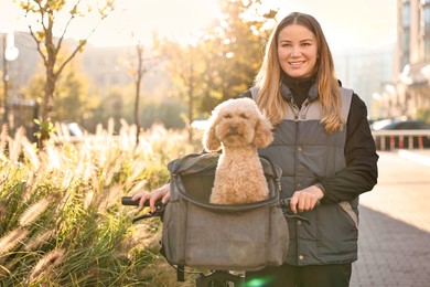 Woman with bicycle and cute Toy Poodle dog in pet carrier outdoors on sunny day