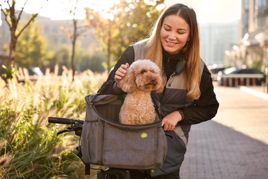 Woman with bicycle and cute Toy Poodle dog in pet carrier outdoors on sunny day