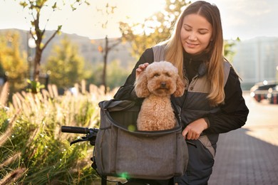 Photo of Woman with bicycle and cute Toy Poodle dog in pet carrier outdoors on sunny day