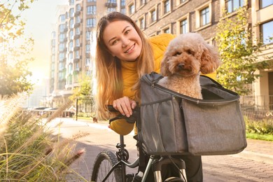 Photo of Woman with bicycle and cute Toy Poodle dog in pet carrier outdoors on sunny day