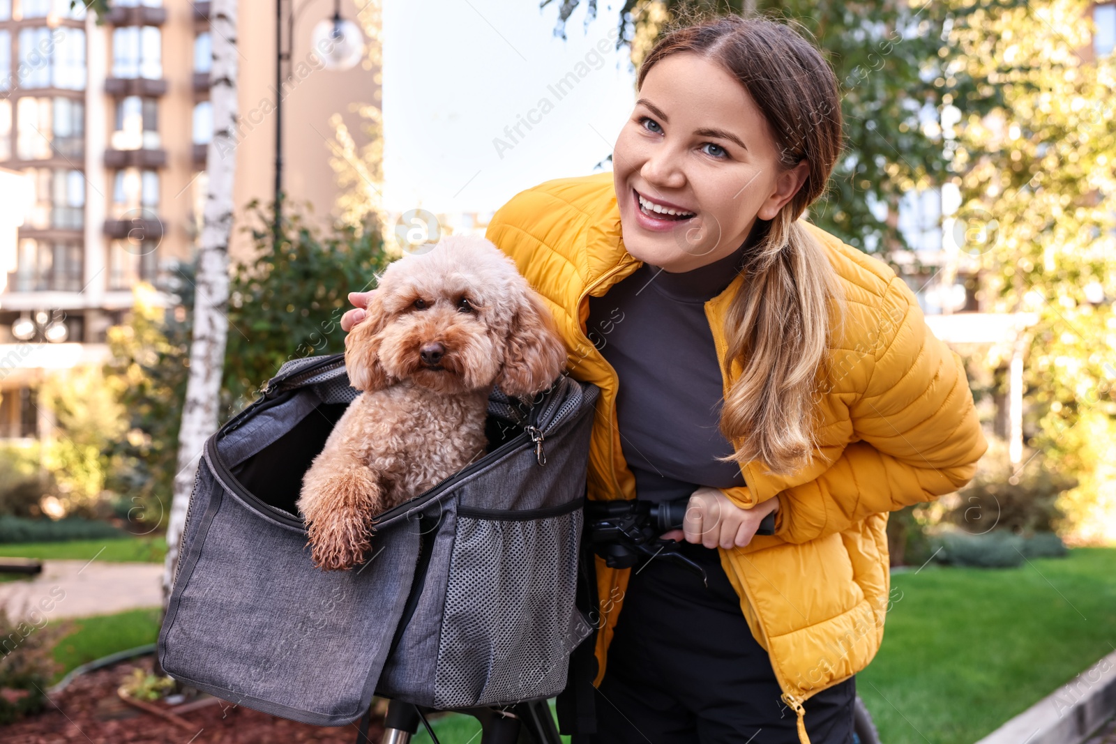 Photo of Woman with bicycle and cute Toy Poodle dog in pet carrier outdoors