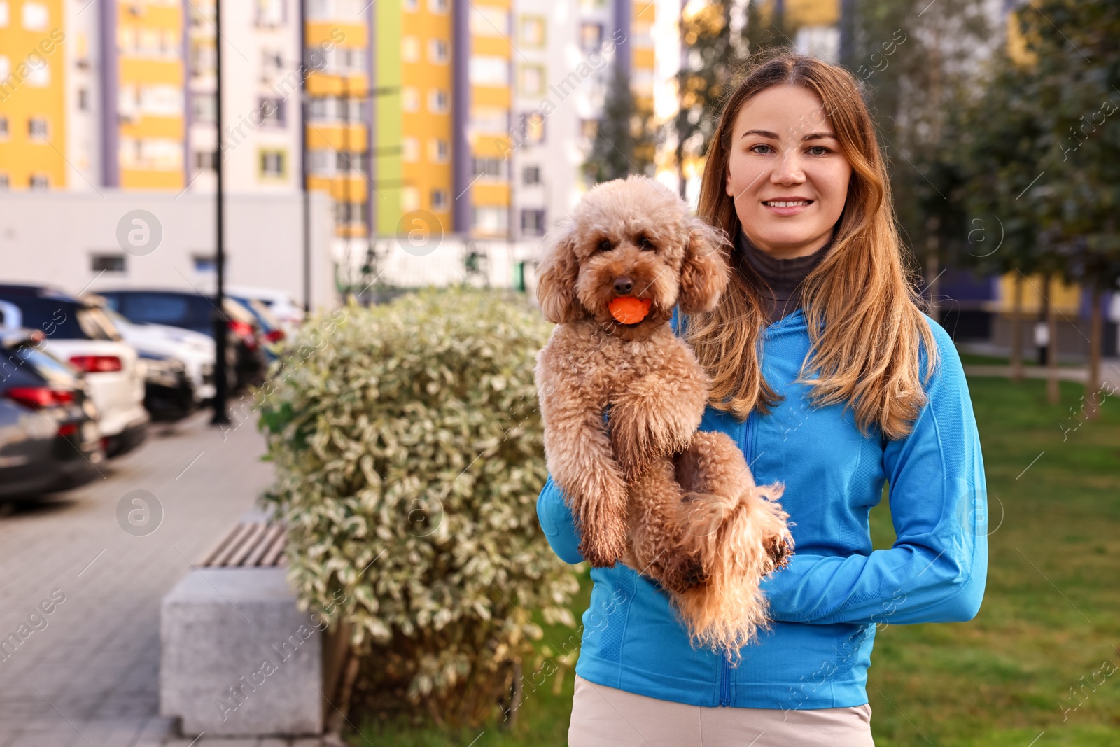 Photo of Woman and cute Toy Poodle dog with ball outdoors