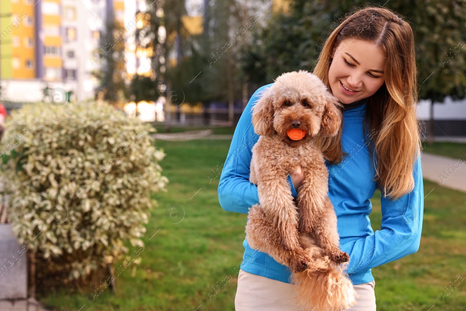 Photo of Woman and cute Toy Poodle dog with ball outdoors