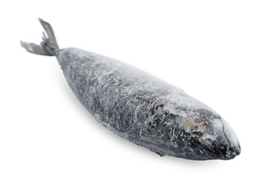 Photo of One frozen mackerel fish isolated on white