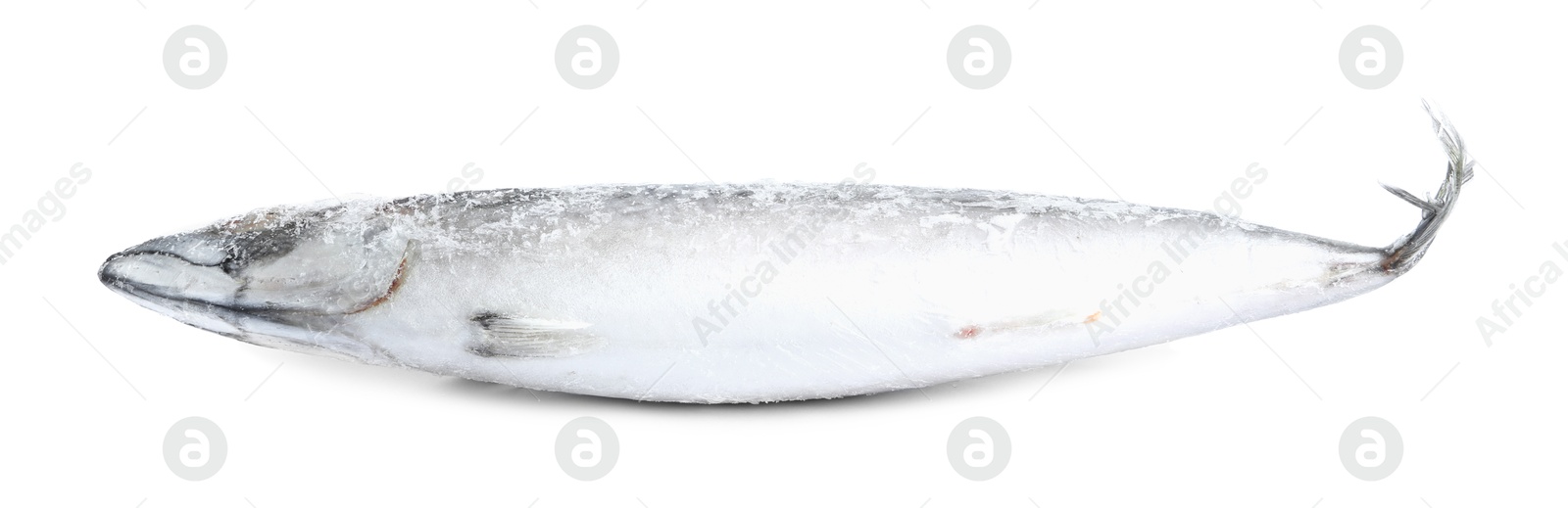 Photo of One frozen mackerel fish isolated on white