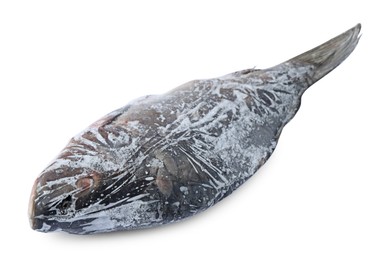 Photo of One frozen carp fish isolated on white