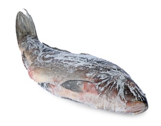 Photo of One frozen carp fish isolated on white