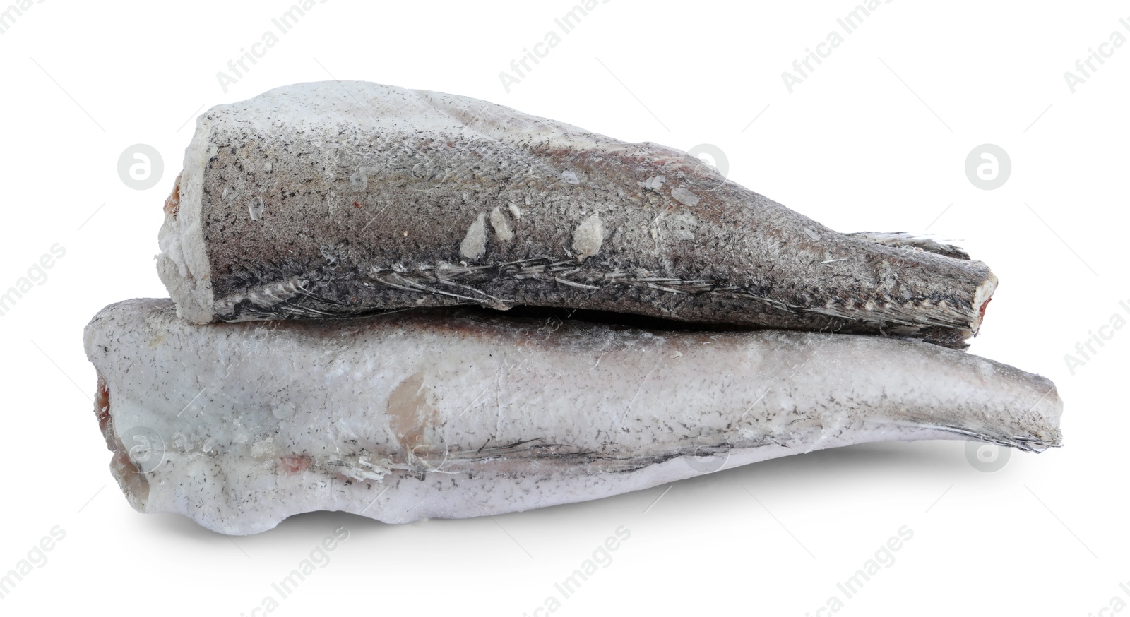 Photo of Two frozen hake fishes isolated on white