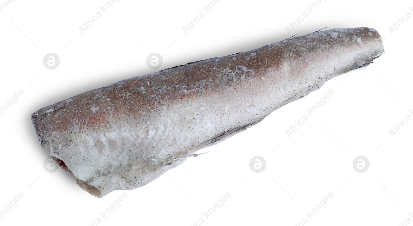 Photo of One frozen hake fish isolated on white, top view