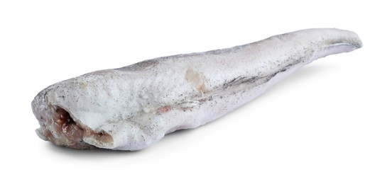 Photo of One frozen hake fish isolated on white