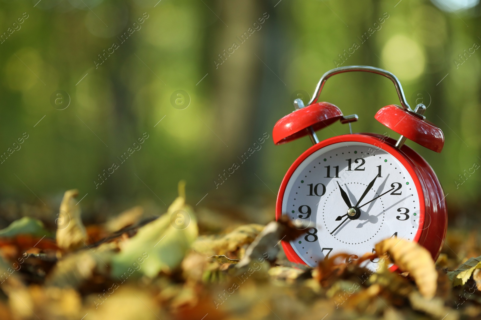 Photo of Alarm clock on fallen dry leaves outdoors, closeup. Space for text