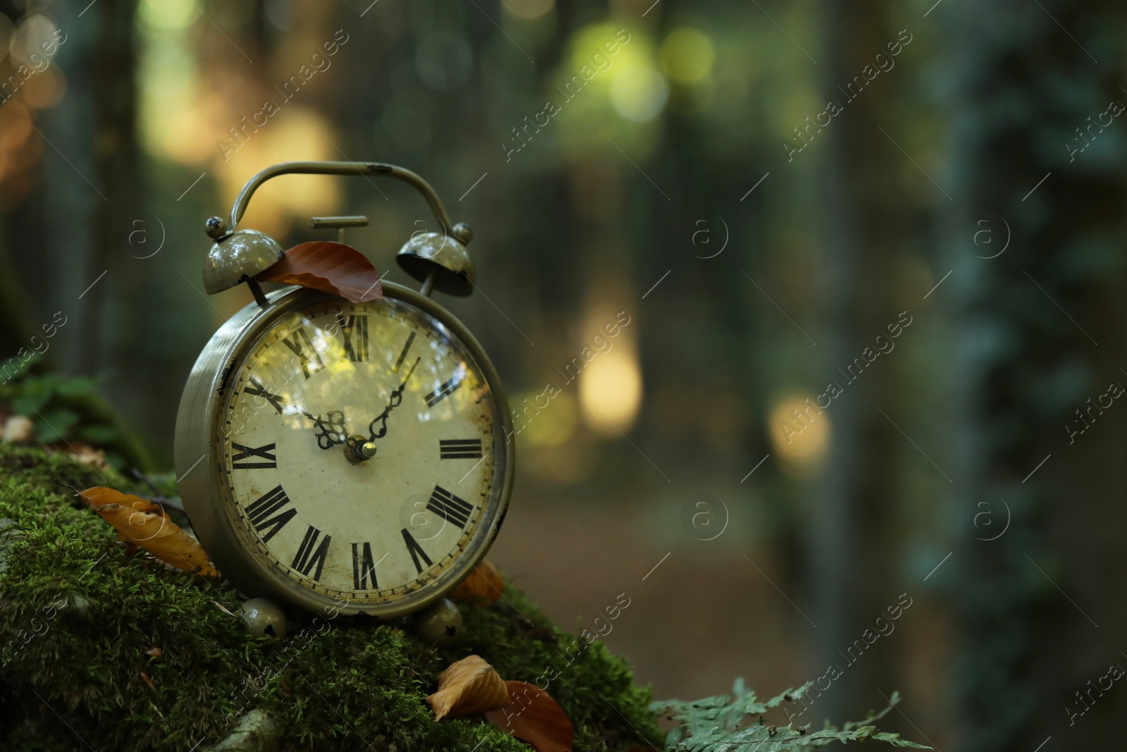 Photo of Alarm clock on green moss outdoors, closeup. Space for text