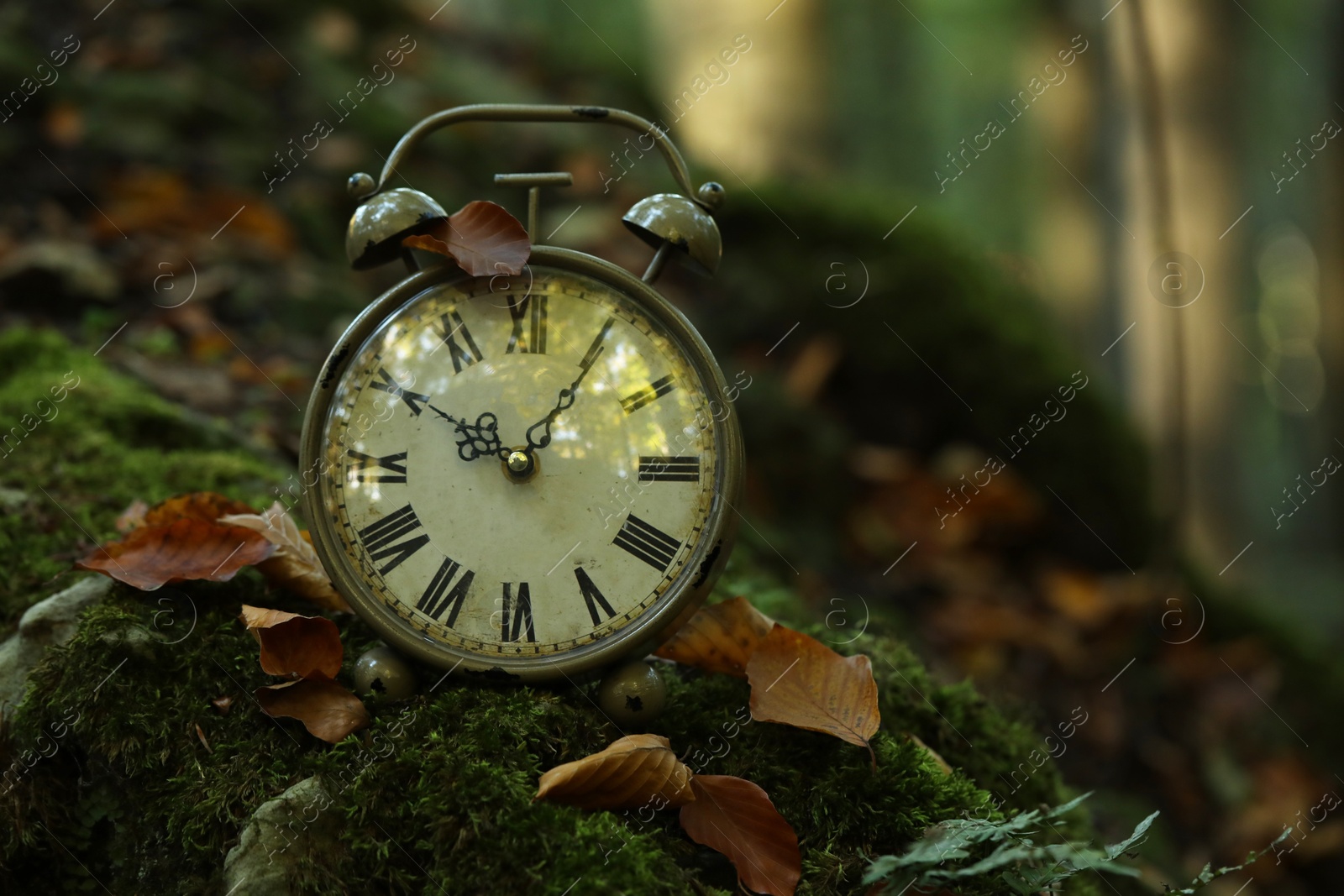 Photo of Alarm clock on fallen dry leaves outdoors, closeup. Space for text