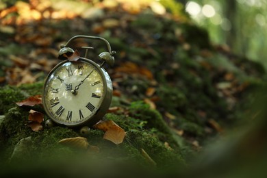 Photo of Alarm clock on fallen dry leaves outdoors, closeup. Space for text