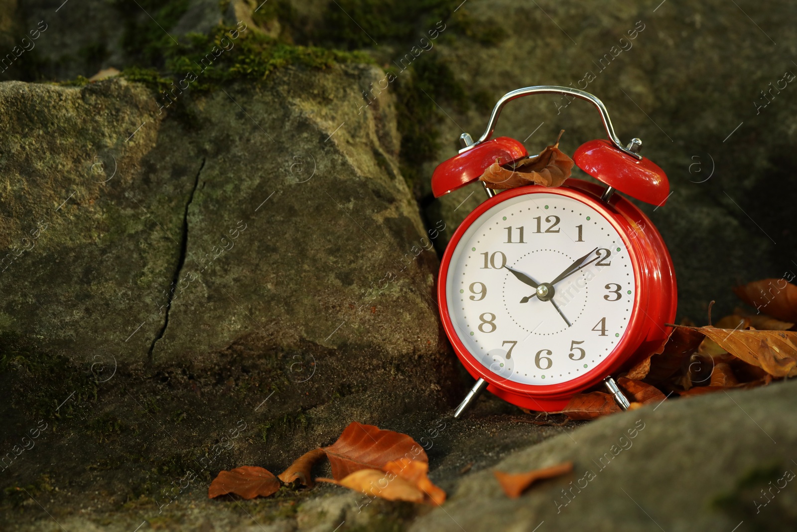 Photo of Alarm clock on fallen dry leaves and stones outdoors, closeup. Space for text