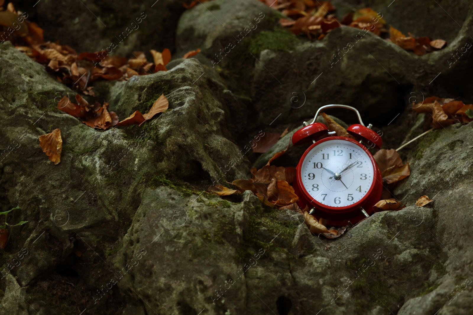 Photo of Alarm clock on fallen dry leaves and stones outdoors, closeup. Space for text