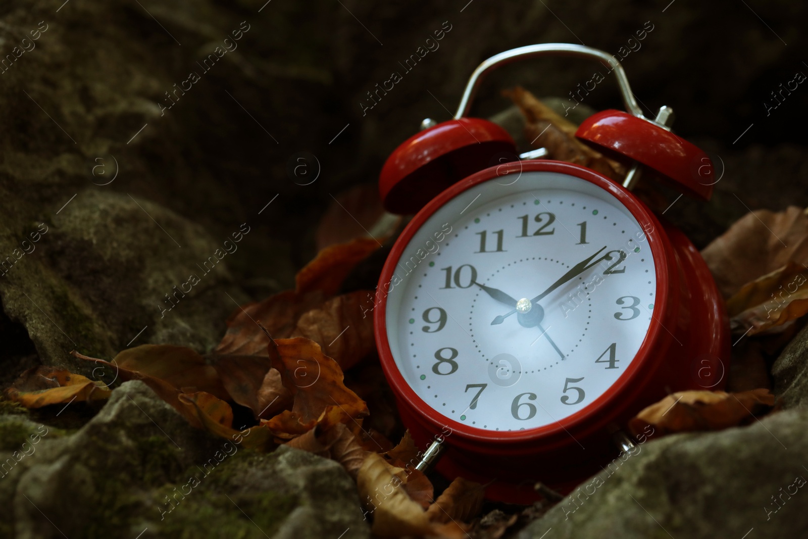 Photo of Alarm clock on fallen dry leaves and stones outdoors, closeup. Space for text