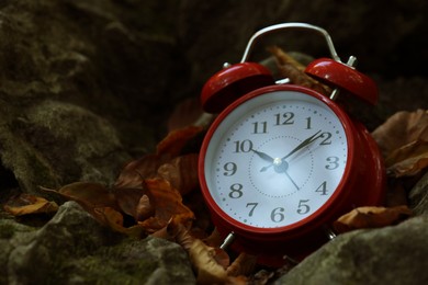 Photo of Alarm clock on fallen dry leaves and stones outdoors, closeup. Space for text