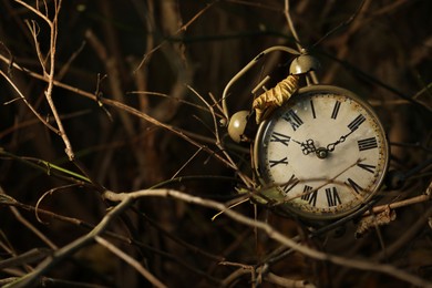 Photo of Alarm clock on dry branches outdoors, closeup. Space for text