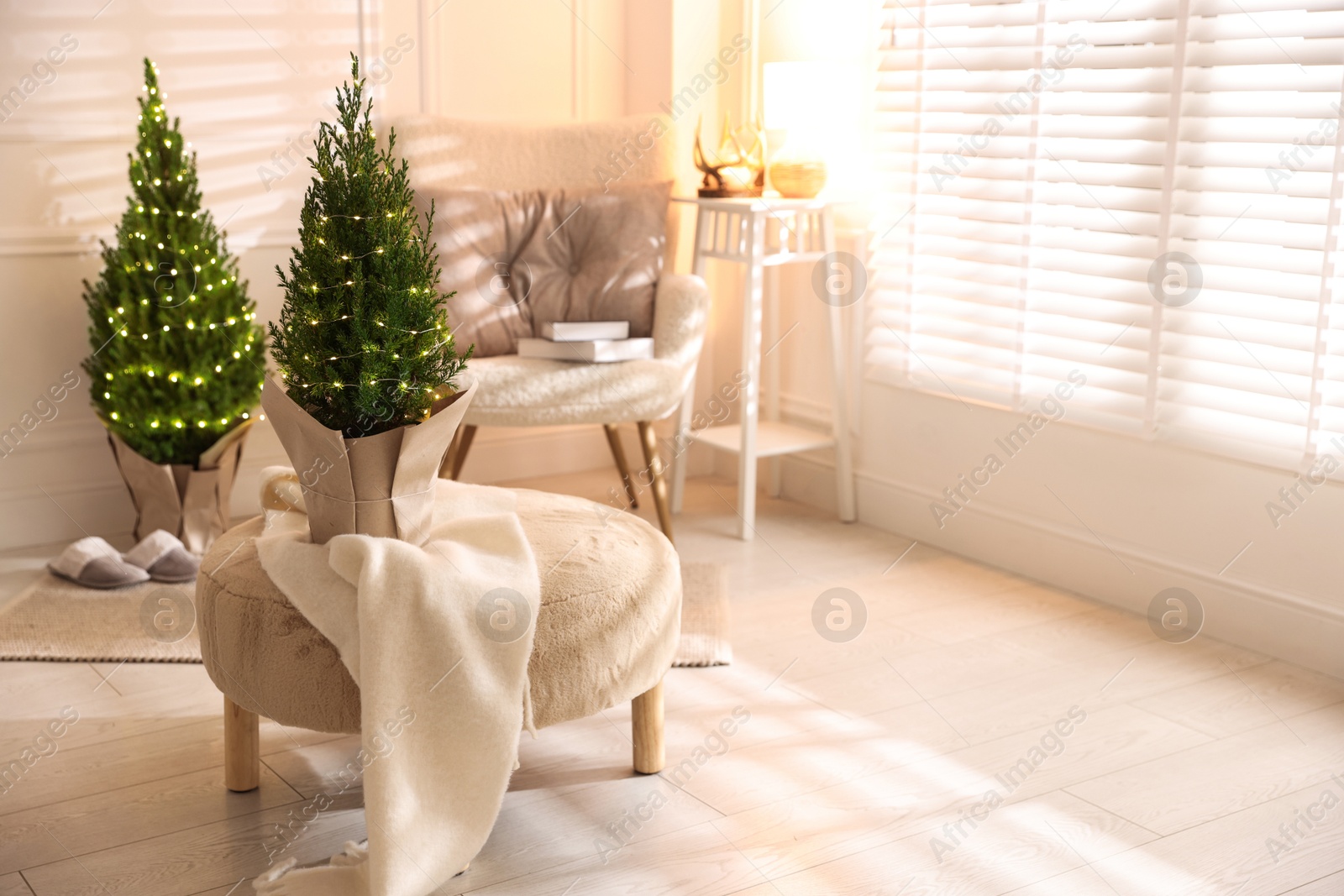 Photo of Small spruce trees decorated with Christmas lights indoors. Space for text