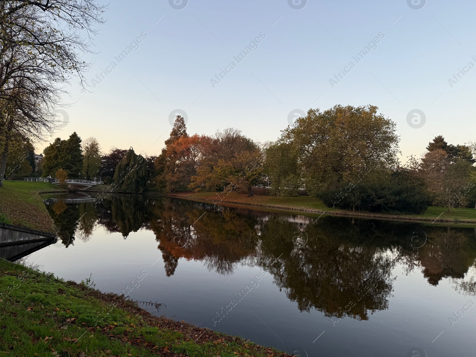 Photo of Beautiful view of colorful trees, fallen leaves and canal on autumn day