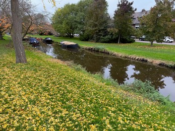 Photo of Beautiful view of canal with moored boats and colorful fallen leaves on autumn day