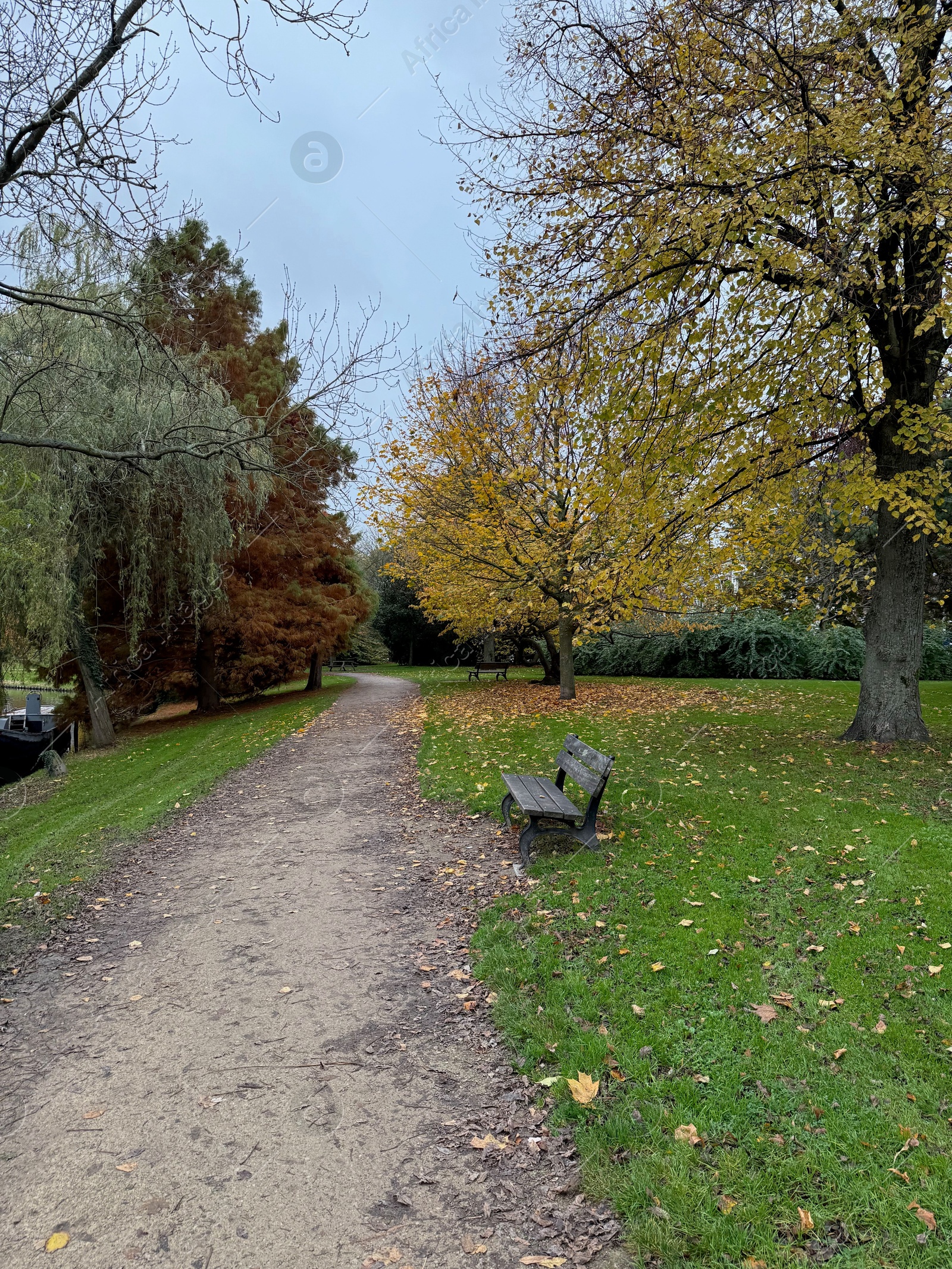 Photo of Bench near pathway in beautiful autumnal park