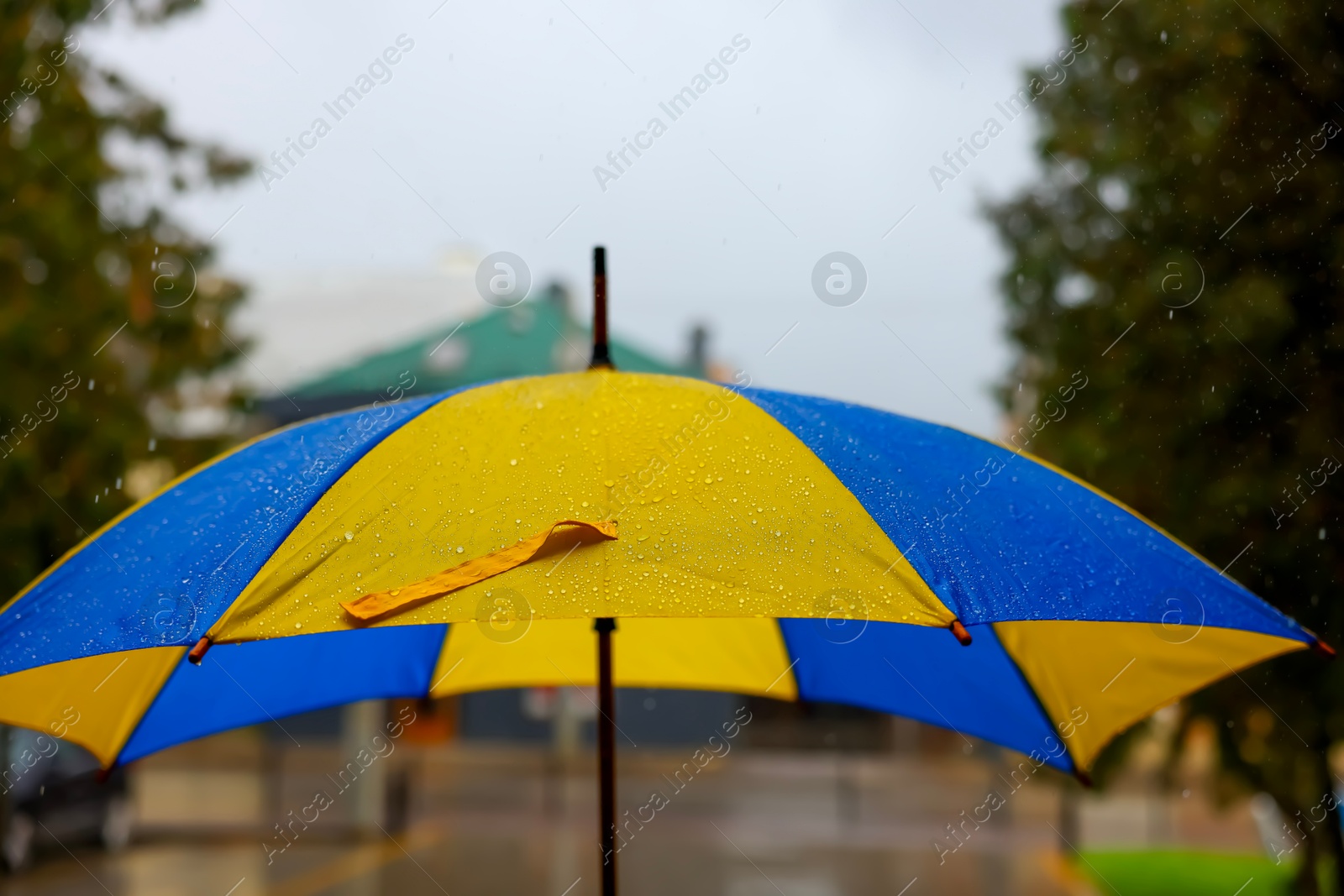 Photo of Yellow and blue umbrella outdoors on rainy day