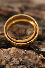 Photo of Beautiful golden wedding rings on tree bark, closeup