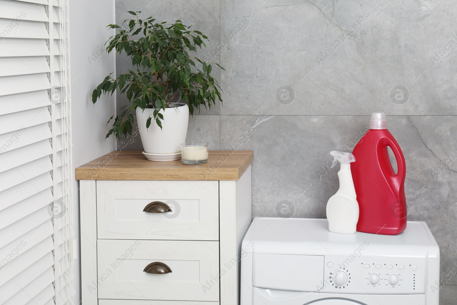 Photo of Laundry detergents in bottles and washing machine indoors