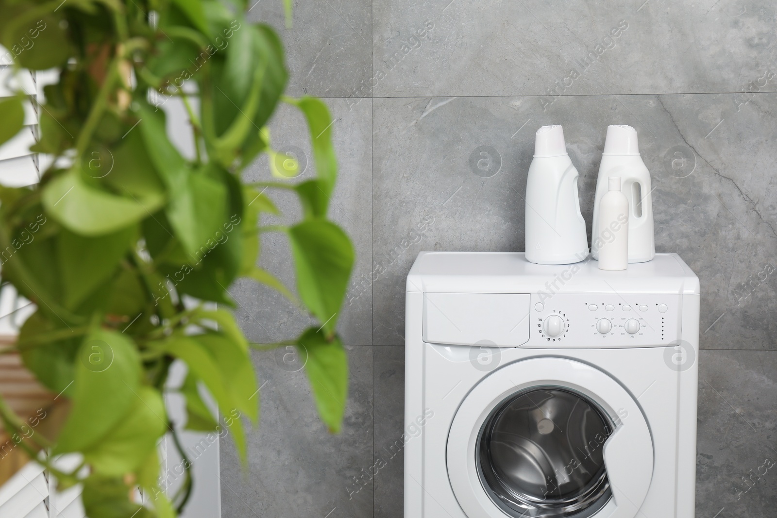 Photo of Different laundry detergents in bottles on washing machine indoors