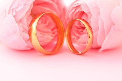 Golden wedding rings and flowers on pink background, closeup