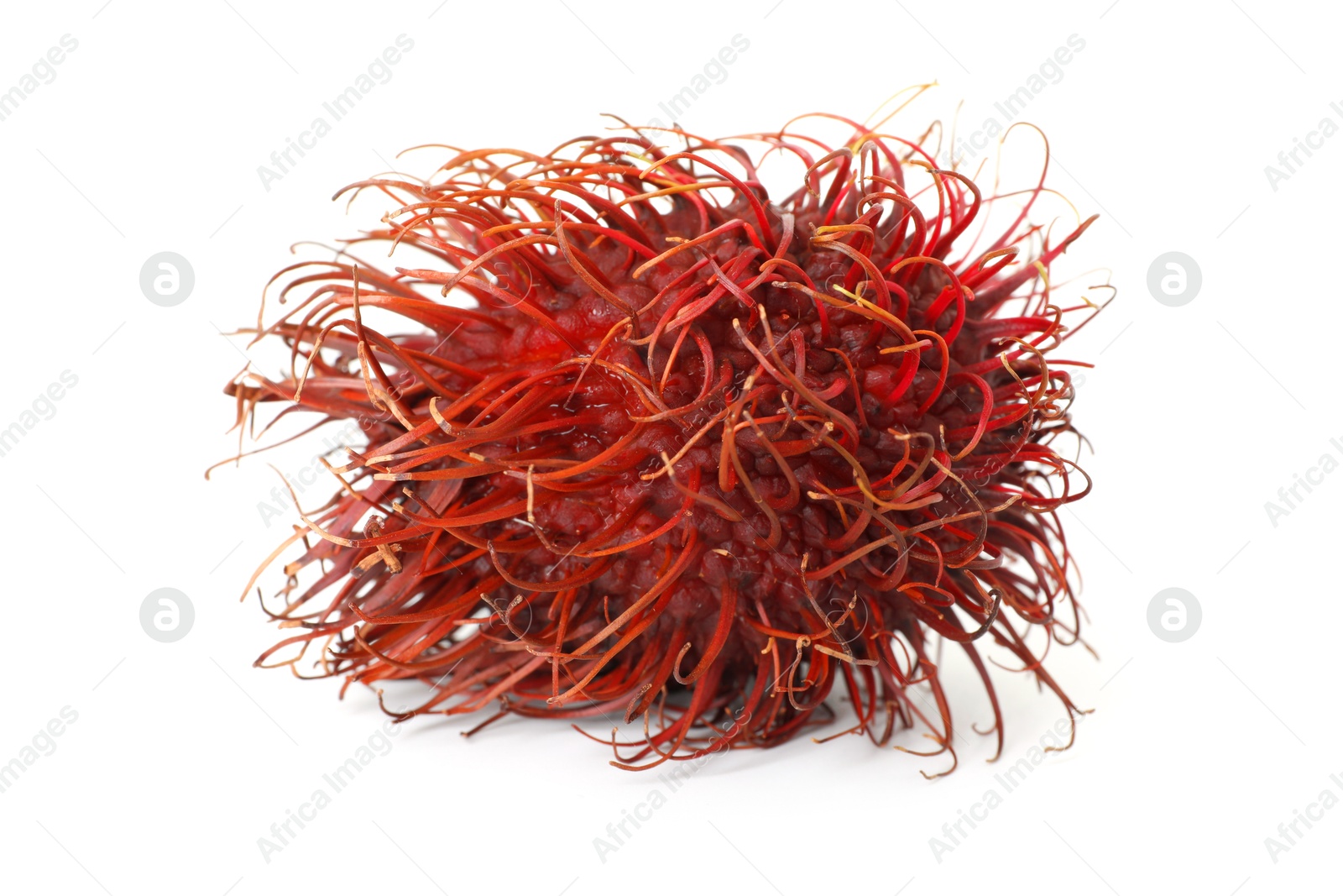 Photo of Delicious ripe rambutan isolated on white. Exotic fruit