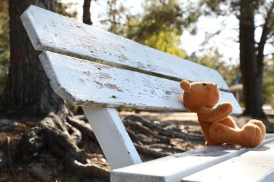 Photo of Lonely teddy bear on bench in park